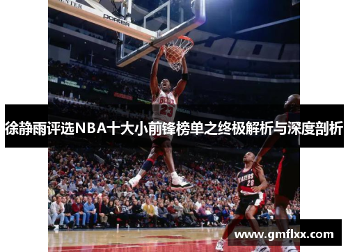 徐静雨评选NBA十大小前锋榜单之终极解析与深度剖析